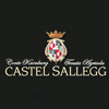 Castel Salegg
